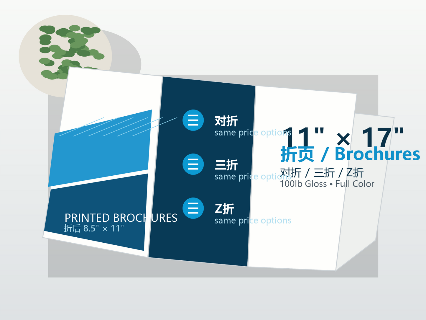 11 x 17 折页 Brochures cover