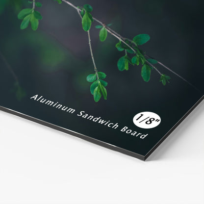 02-3mm铝复合板双层印刷