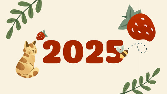 Design Service（设计服务 / 设计费用）